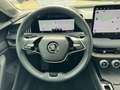 Skoda Superb L&K 2.0 TSI 4x4 NAVI*PANODACH*MATRIX-LED Grijs - thumbnail 16