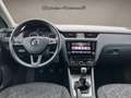 Skoda Octavia Combi Clever 1.0 TSI (nur an Gewerbe) Schwarz - thumbnail 14
