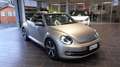 Volkswagen Maggiolino Maggiolino Cabrio 1.4 tsi Exclusive 160cv dsg Argento - thumbnail 5