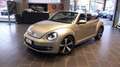 Volkswagen Maggiolino Maggiolino Cabrio 1.4 tsi Exclusive 160cv dsg Argento - thumbnail 1