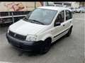 Fiat Panda 1.1 8V Active Weiß - thumbnail 4