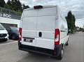 Fiat Ducato 35 L2H2 2.3D 140PS Weiß - thumbnail 31