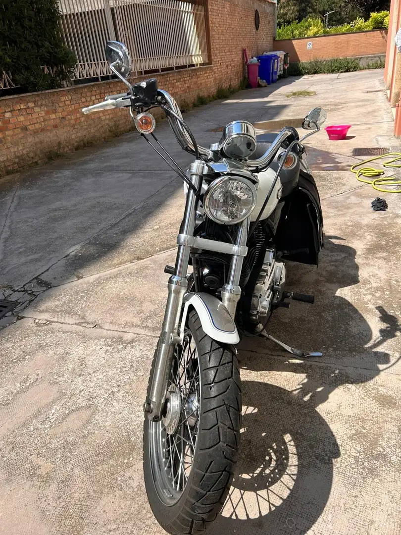 Harley-Davidson XL 1200 Alb - 2