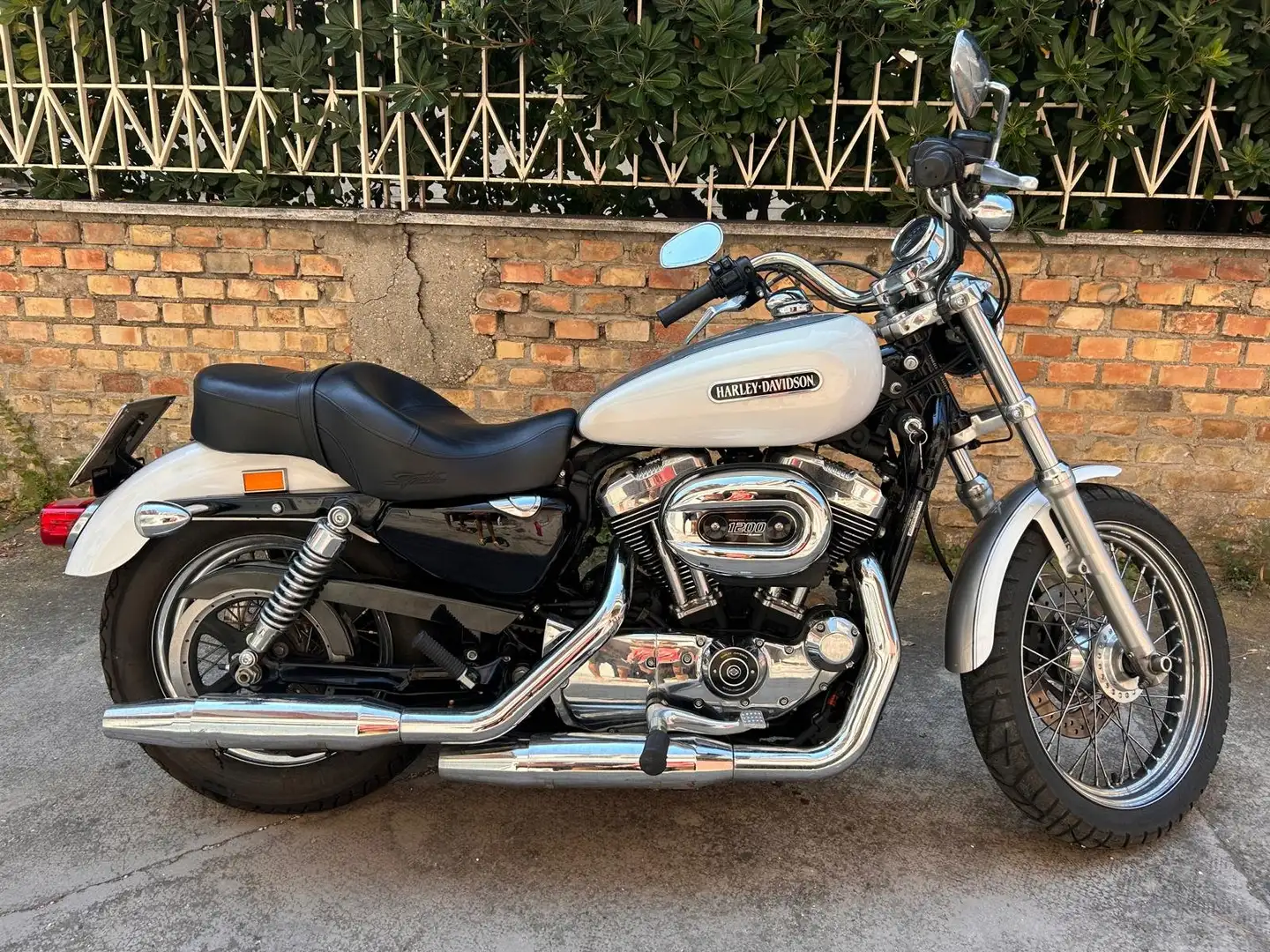 Harley-Davidson XL 1200 Alb - 1