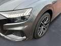 Audi Q8 50 TDI quattro competition plus HD-Matrix/AHK Grau - thumbnail 13