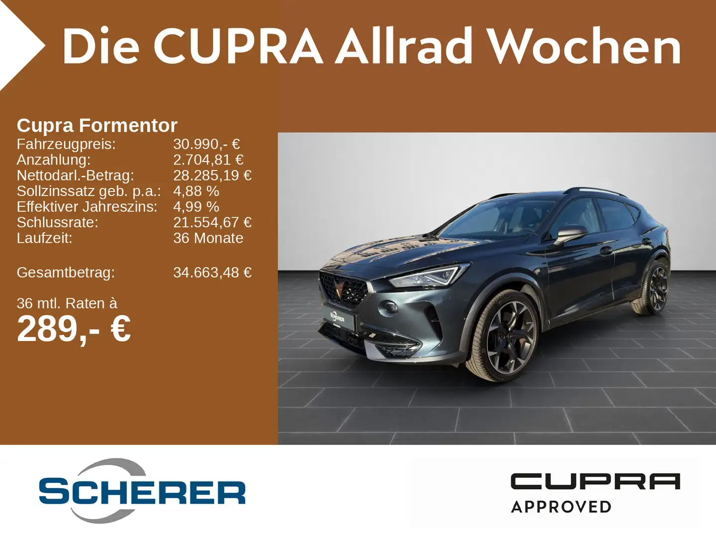 CUPRA Formentor VZ 2.0 TSI 4Drive Navi Fahrassistenz L Grau - 1