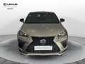 Lexus NX 300 Hybrid 4WD F-Sport Grau - thumbnail 2