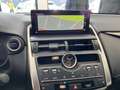Lexus NX 300 Hybrid 4WD F-Sport Grau - thumbnail 11