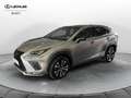 Lexus NX 300 Hybrid 4WD F-Sport Grau - thumbnail 1