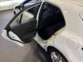 Toyota Corolla 1.8 Hybrid Active|Trekhaak|Cruise|Automaat|Camera Wit - thumbnail 35