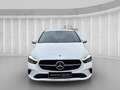 Mercedes-Benz B 200 Progressive Widesc Kamera E-Heck LED Navi Weiß - thumbnail 8