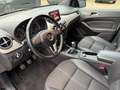Mercedes-Benz B 180 B B 180 CDI Zwart - thumbnail 12