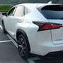 Lexus NX 300h F-SPORT 4WD Bianco - thumbnail 3