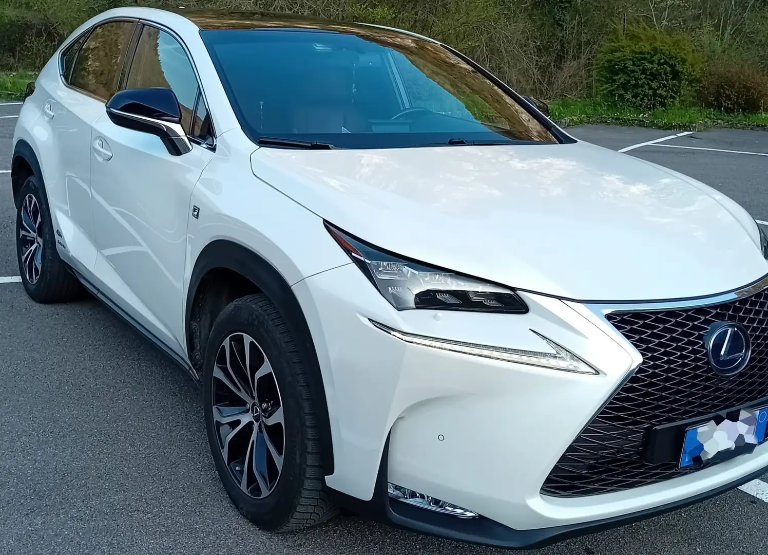 Lexus NX 300h F-SPORT 4WD Bianco - 1