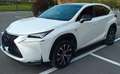 Lexus NX 300h F-SPORT 4WD Bianco - thumbnail 5