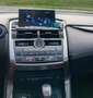 Lexus NX 300h F-SPORT 4WD Bianco - thumbnail 8