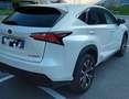 Lexus NX 300h F-SPORT 4WD Bianco - thumbnail 2
