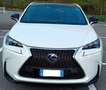 Lexus NX 300h F-SPORT 4WD Bianco - thumbnail 4