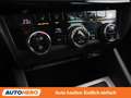 Skoda Octavia 2.0 TDI Ambition Schwarz - thumbnail 26