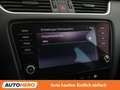 Skoda Octavia 2.0 TDI Ambition Schwarz - thumbnail 22