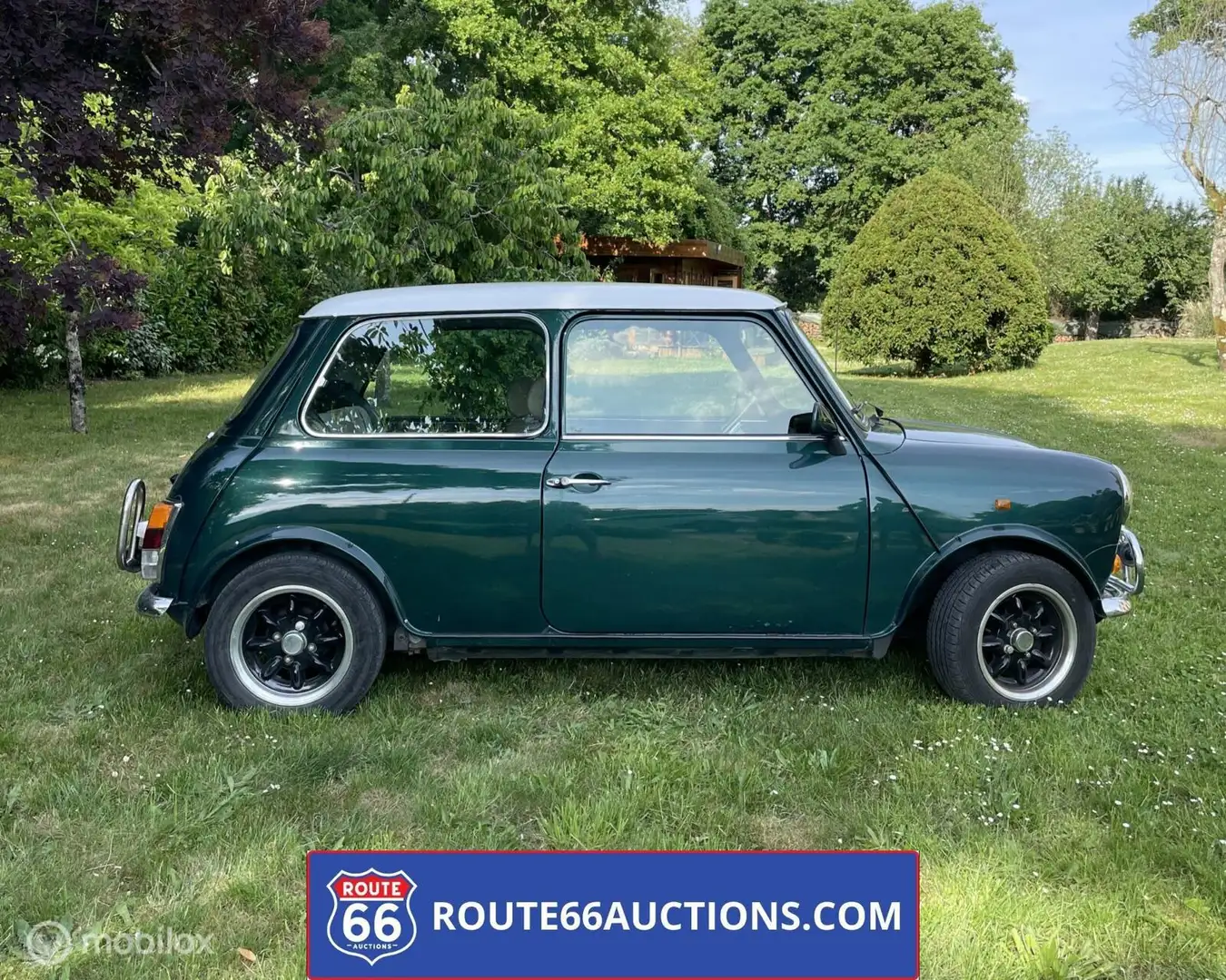 Austin Mini Sealine 1996 | Route 66 Auctions Zelená - 1