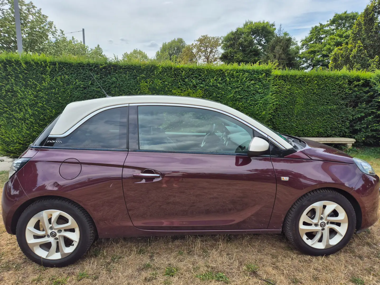Opel Adam Adam Glam Mauve - 1