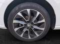 Skoda Fabia Combi 1.0 TSI 70kW Drive 125 Weiß - thumbnail 5