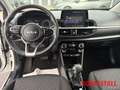 Kia Picanto 1.0 AMT VISION Kamera Navi Apple Android Klimaauto Weiß - thumbnail 13
