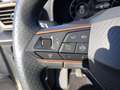 CUPRA Formentor 2.0 tdi 150cv Bianco - thumbnail 13