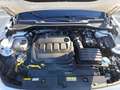 CUPRA Formentor 2.0 tdi 150cv Bianco - thumbnail 10