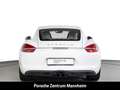 Porsche Cayman S PDK Navi SportDesign SportsitzePlus 20'' Weiß - thumbnail 5
