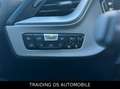 BMW 116 d Advantage / LED / SPUR ASS/ 3 JA. GARANTIE Azul - thumbnail 18