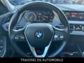 BMW 116 d Advantage / LED / SPUR ASS/ 3 JA. GARANTIE Azul - thumbnail 17