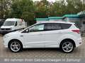 Ford Kuga Individual 4x4 *Automatik*Panorama*Kamera* Weiß - thumbnail 8