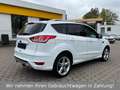Ford Kuga Individual 4x4 *Automatik*Panorama*Kamera* Weiß - thumbnail 5