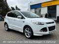 Ford Kuga Individual 4x4 *Automatik*Panorama*Kamera* Weiß - thumbnail 3
