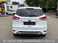 Ford Kuga Individual 4x4 *Automatik*Panorama*Kamera* Weiß - thumbnail 6