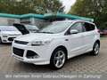 Ford Kuga Individual 4x4 *Automatik*Panorama*Kamera* Weiß - thumbnail 1