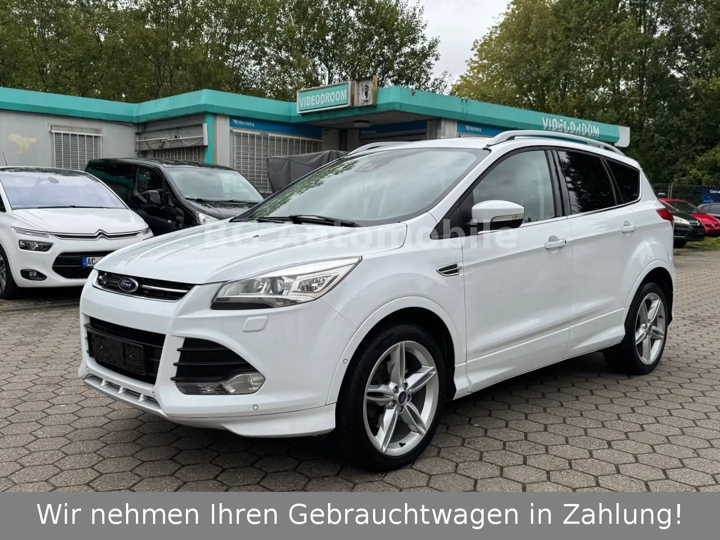 Ford Kuga Individual 4x4 *Automatik*Panorama*Kamera* Weiß - 1