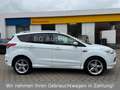 Ford Kuga Individual 4x4 *Automatik*Panorama*Kamera* Weiß - thumbnail 4