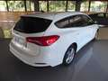 Ford Focus Sportbreak 1.5 Ecoblue Trend+ 120 Blanco - thumbnail 3