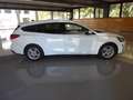 Ford Focus Sportbreak 1.5 Ecoblue Trend+ 120 Blanco - thumbnail 4