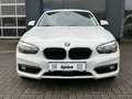 BMW 116 d Advantage Navi Shz Weiß - thumbnail 8