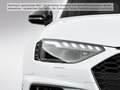 Audi RS4 3.0 TFSI HUD B&O 360° PANO MATRIX-LED Weiß - thumbnail 6
