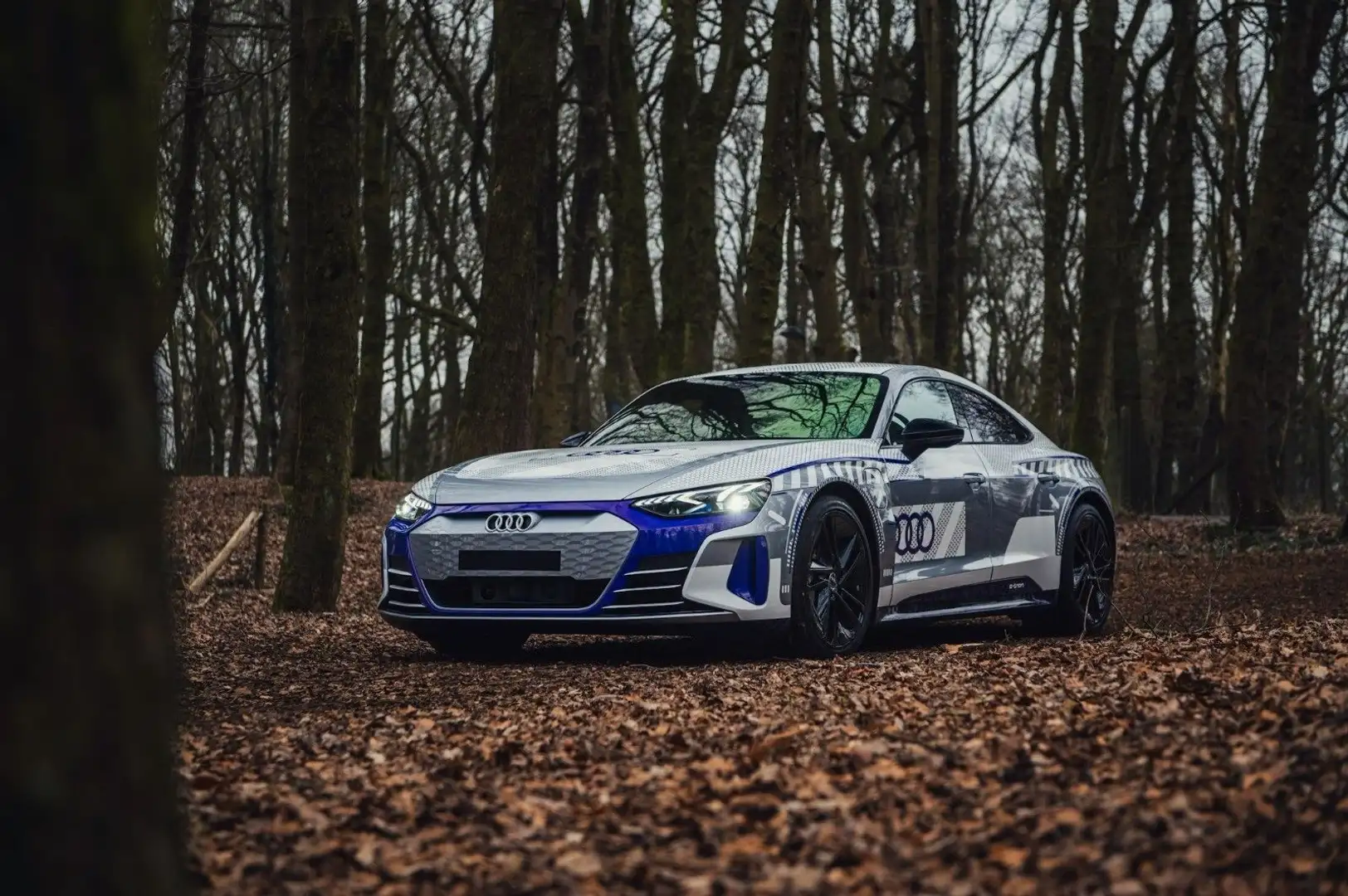 Audi RS e-tron GT quattro ICE RACE EDITION  1/99 Argintiu - 1