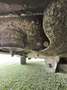 Suzuki Jimny Jimny VX Silber - thumbnail 14