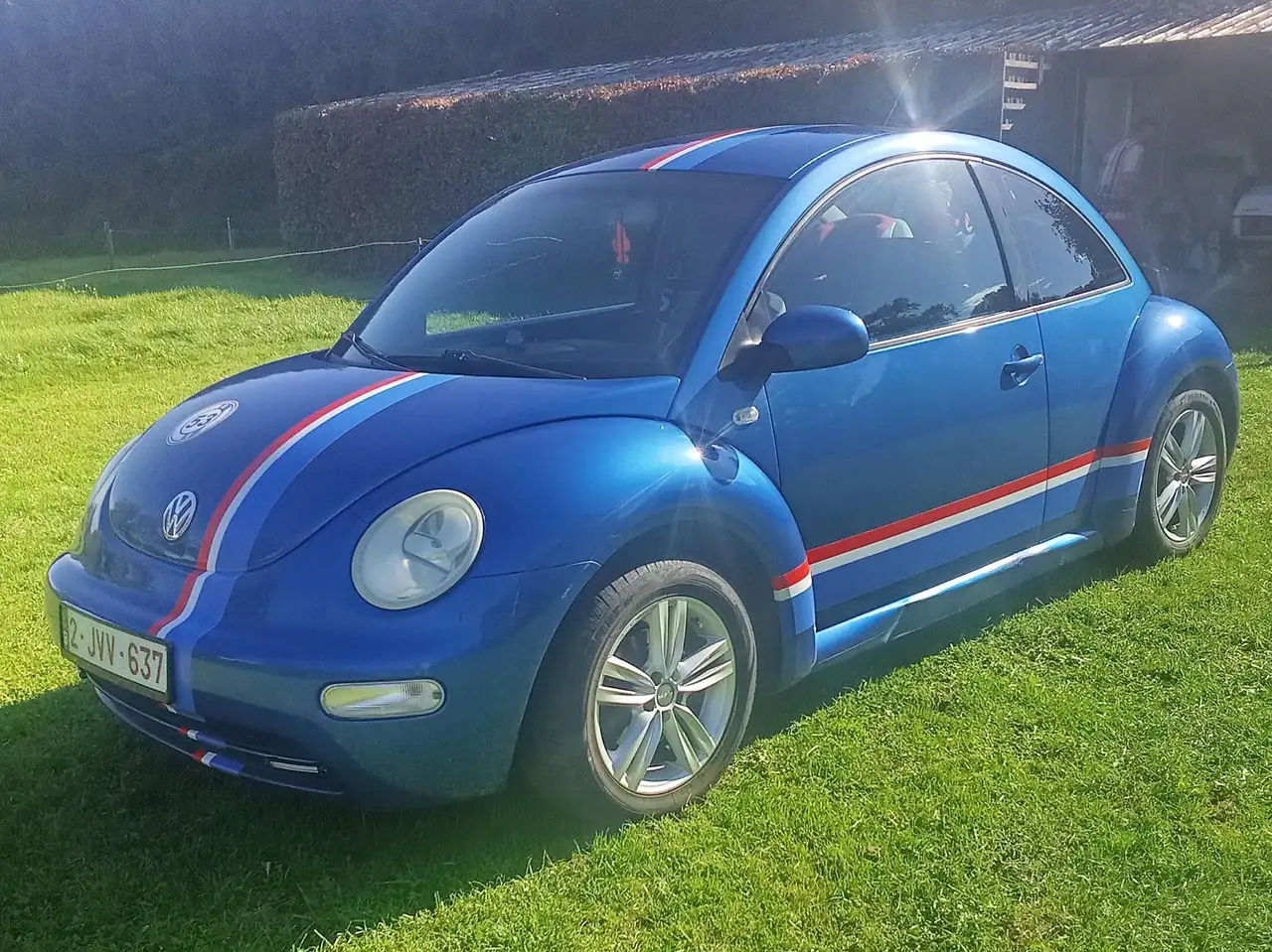 Volkswagen New Beetle