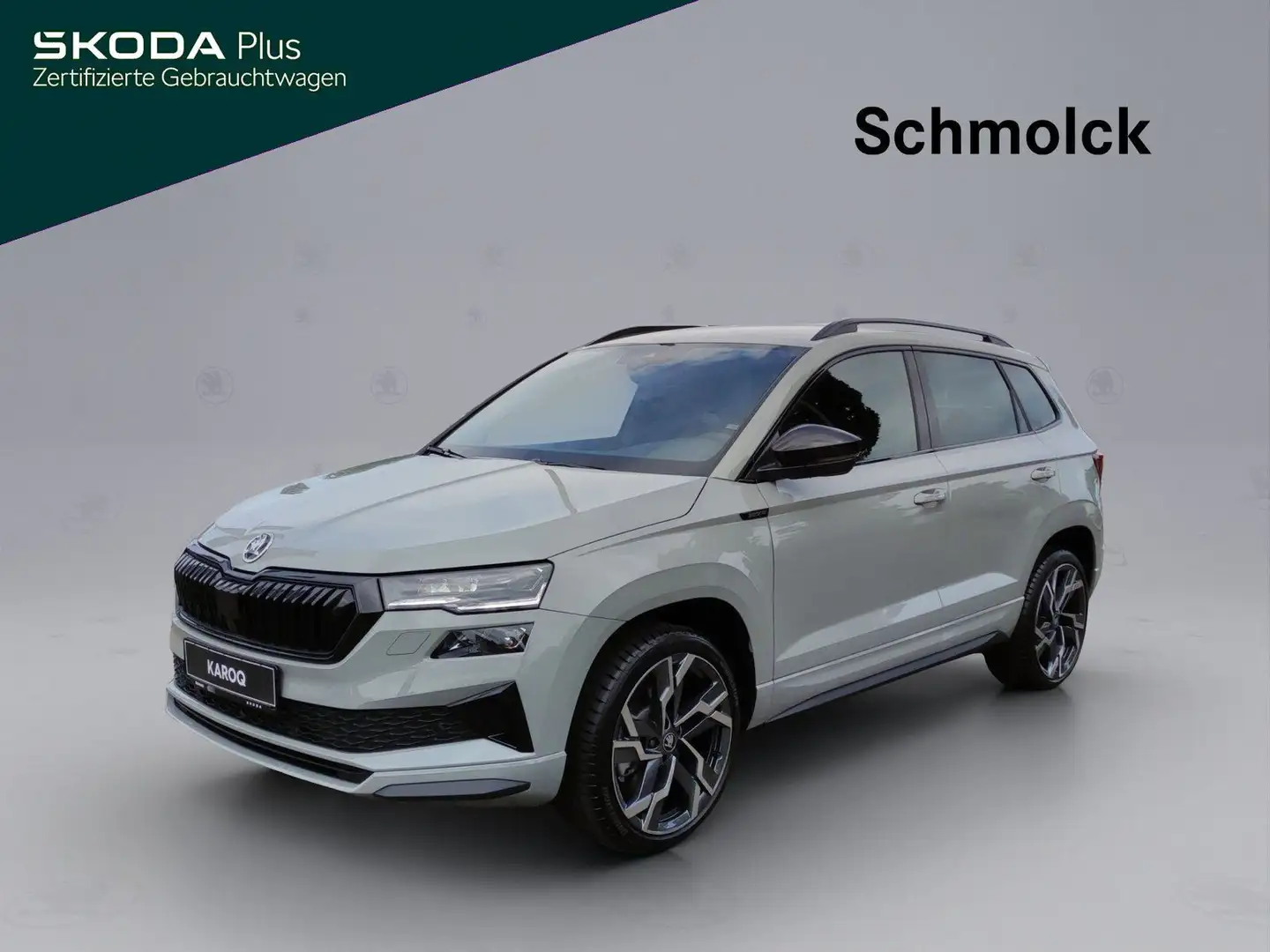 Skoda Karoq Sportline 1.5 TSI DSG ACC AHK NAVI LED DAB Grau - 1