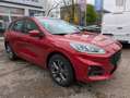 Ford Kuga 2.5 PHEV ST-Line AHK*ACC*NAV*4xSHZ*EL-HECK*PDC Rot - thumbnail 2