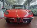 Alfa Romeo Spider Duetto osso di seppia 1.3 Junior Rouge - thumbnail 4